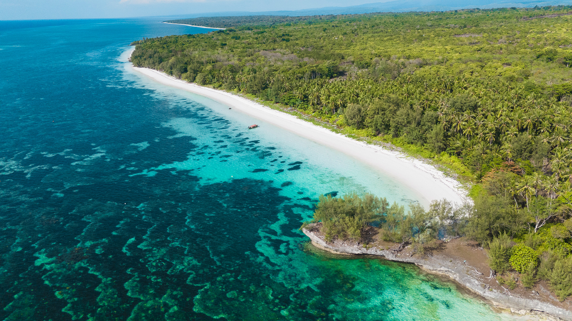 Sulawesi Selayar