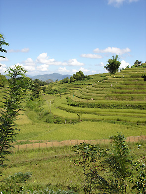 Sulawesi Sud