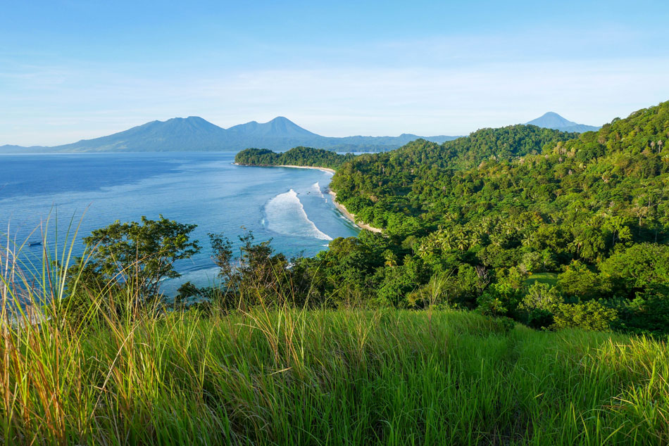 Sulawesi Nord