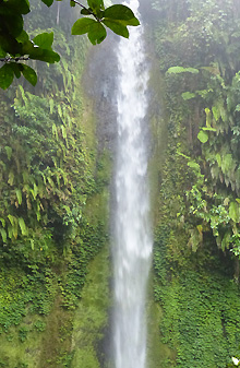 Sulawesi Nord