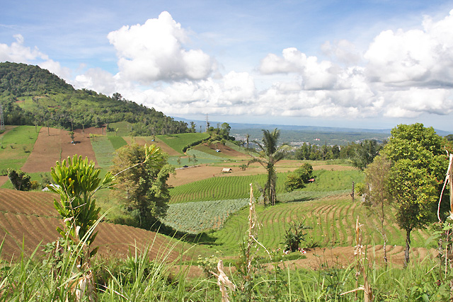 Sulawesi Nord
