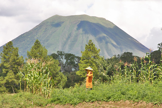 Sulawesi Nord