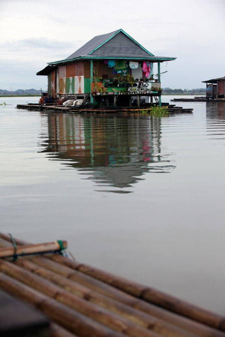 Sulawesi Lac Tempe