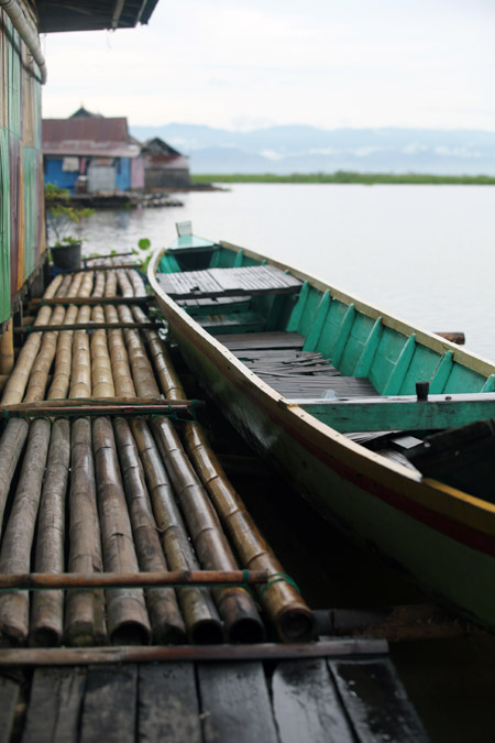 Sulawesi Lac Tempe