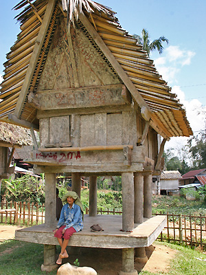 Sulawesi Toraja