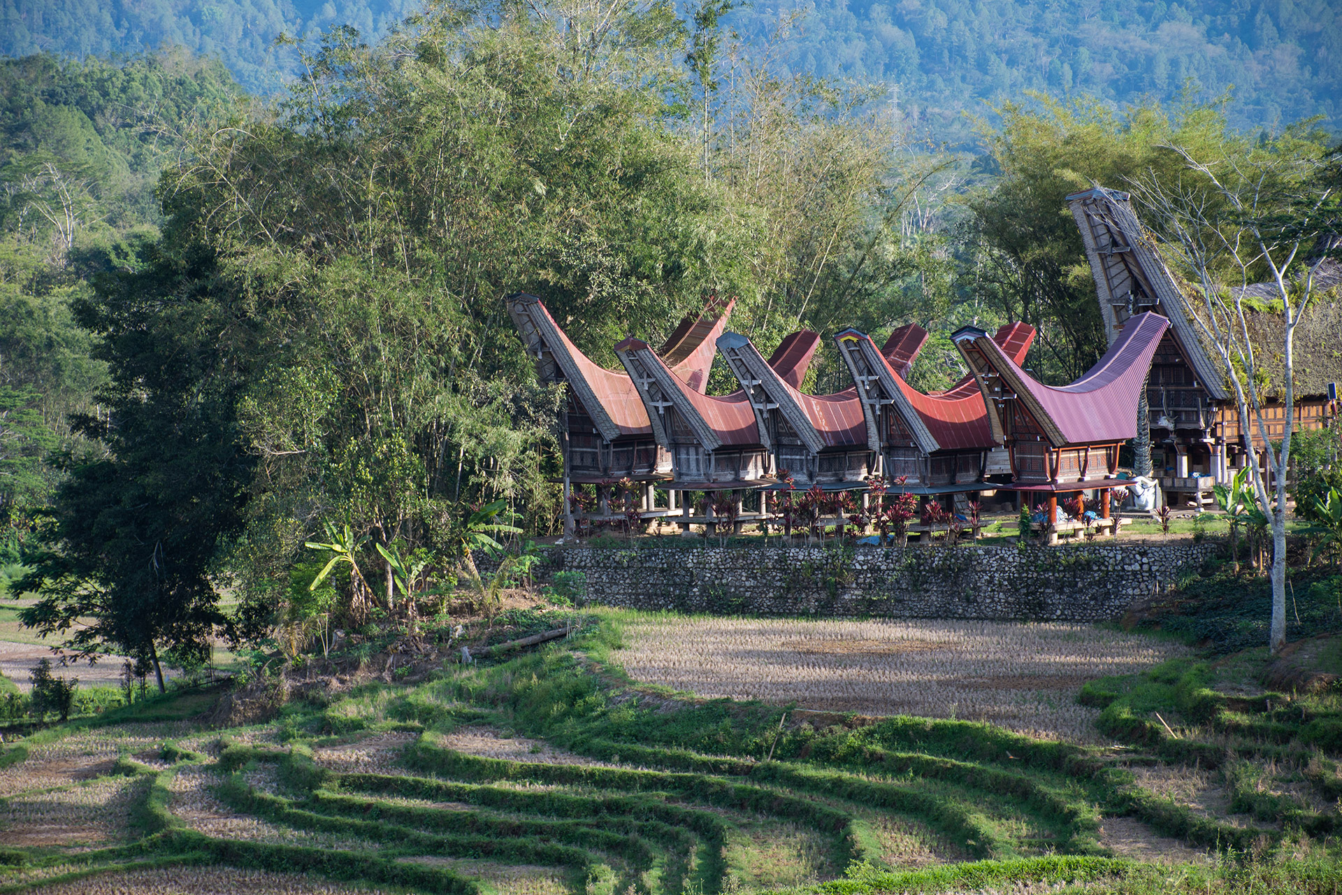 Sulawesi Toraja