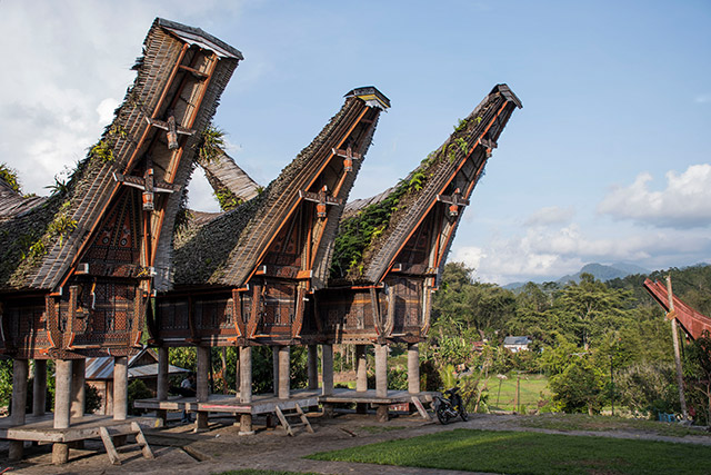 Sulawesi Toraja