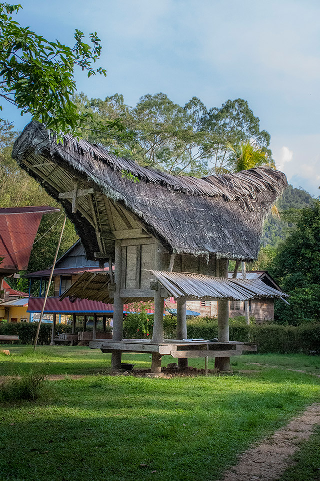 Sulawesi Toraja