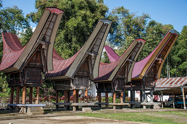 Sulawesi Toraja