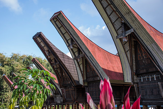 Sulawesi Toraja