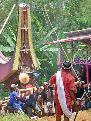 Sulawesi Toraja