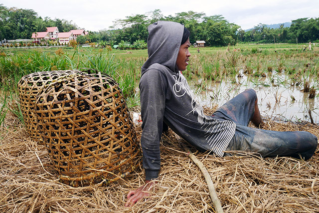 Sulawesi Toraja