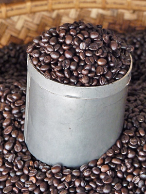 Sulawesi Toraja