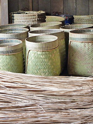 Sulawesi Toraja