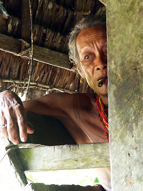 Sumatra Mentawai