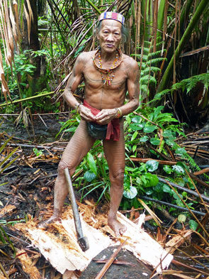 Sumatra Mentawai