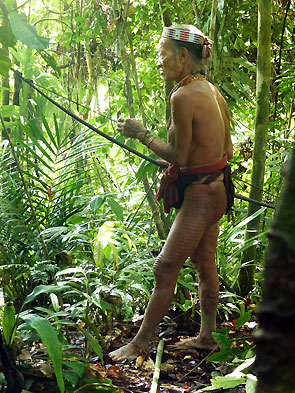 Sumatra Mentawai