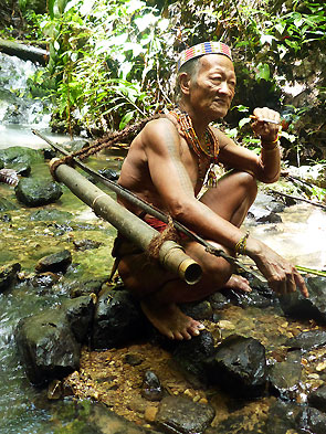 Sumatra Mentawai