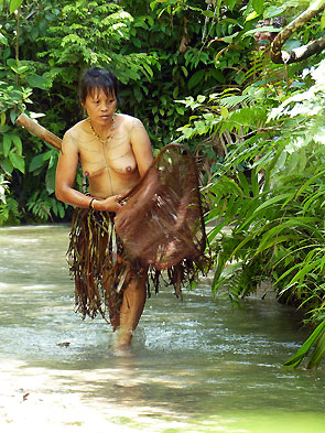Sumatra Mentawai