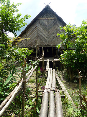 Sumatra Mentawai