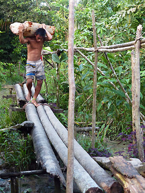 Sumatra Mentawai