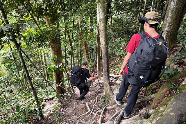 Sumatra Pays Batak