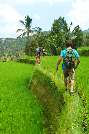Trek Bali et Sulawesi