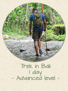 Trek 1 day in Bali