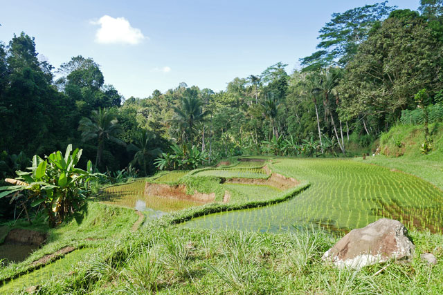 trek Bali 