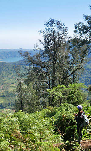 trek Bali 