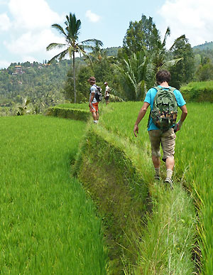 trek Bali 