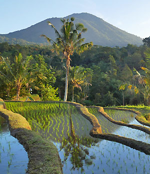 Hébergement atypique Bali 