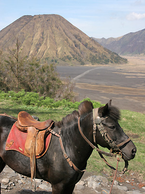 Mont Bromo Java