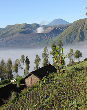 Mont Bromo Java