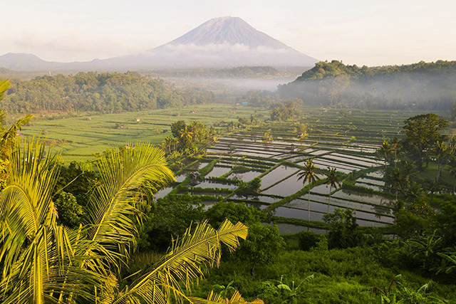 Voyage entre filles Bali 