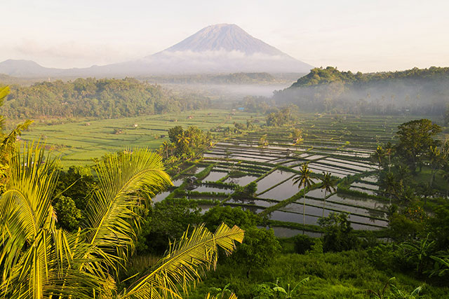 Voyage entre filles Bali 