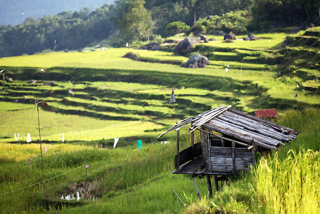 Voyage plongée Bali 