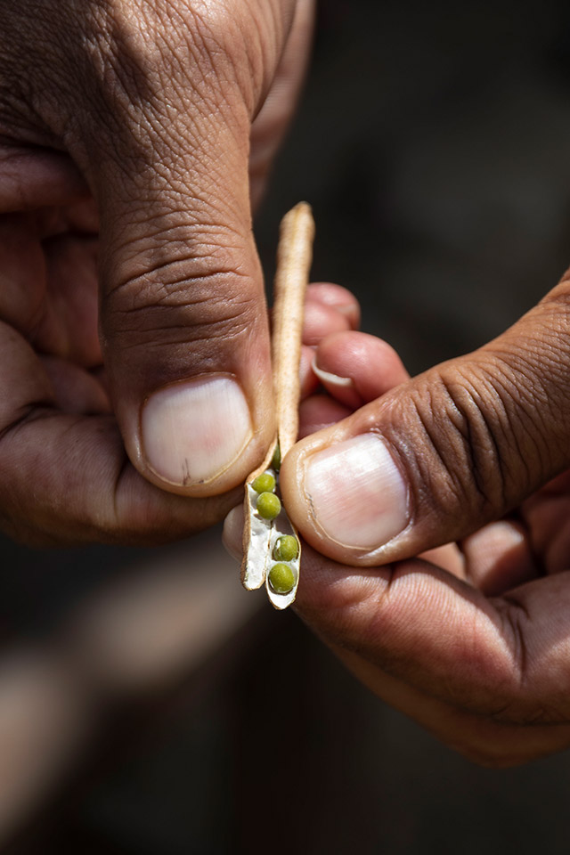 Voyage entre filles lombok 