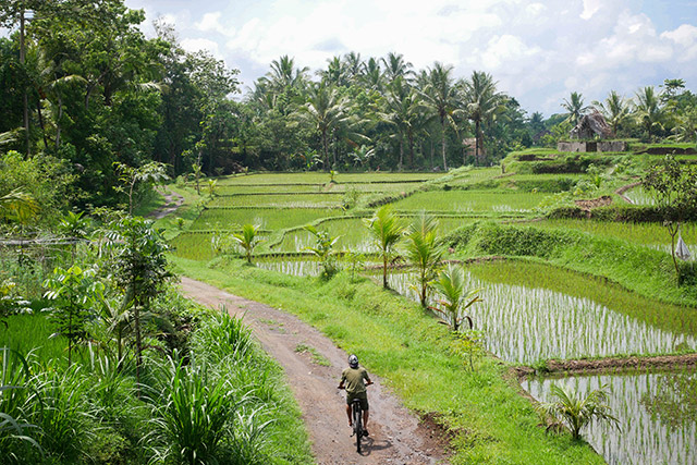Voyage entre filles lombok 