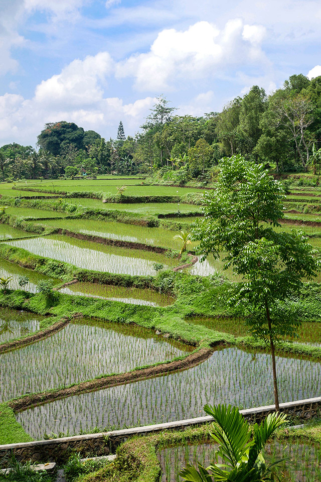 Voyage entre filles lombok 
