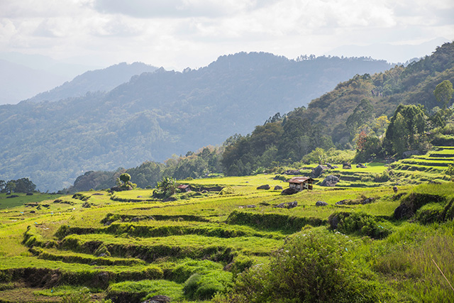 Voyage entre filles sulawesi 