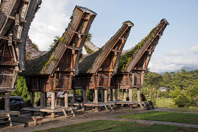 Voyage entre filles sulawesi 