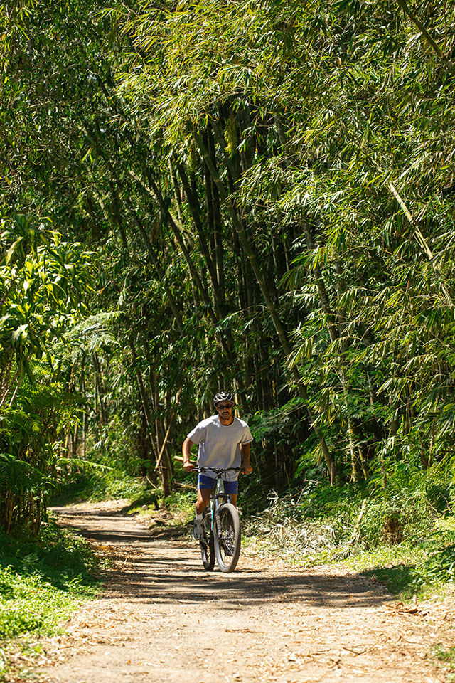vtt Bali