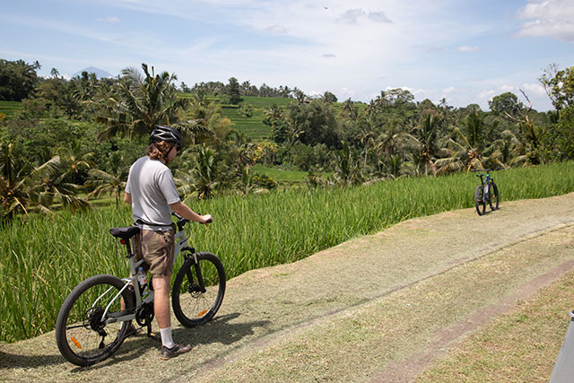 vtt Bali