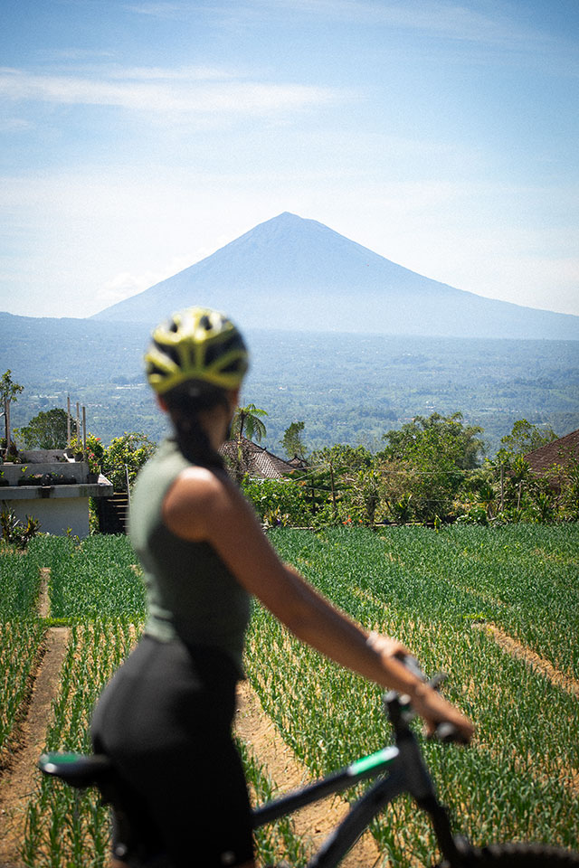 vtt Bali