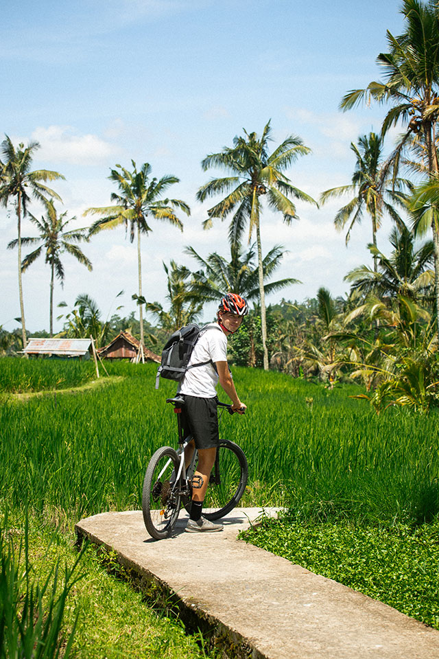vtt Bali