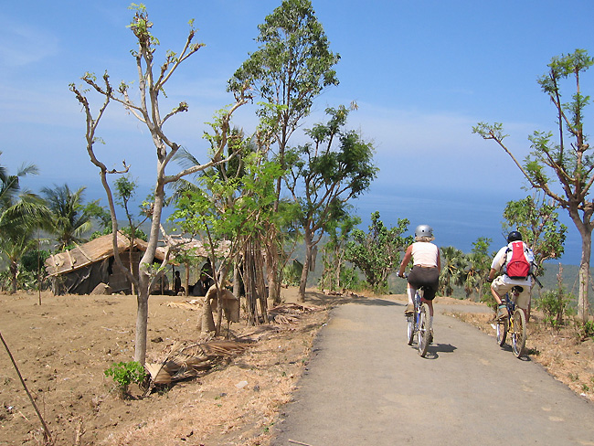 vtt Bali