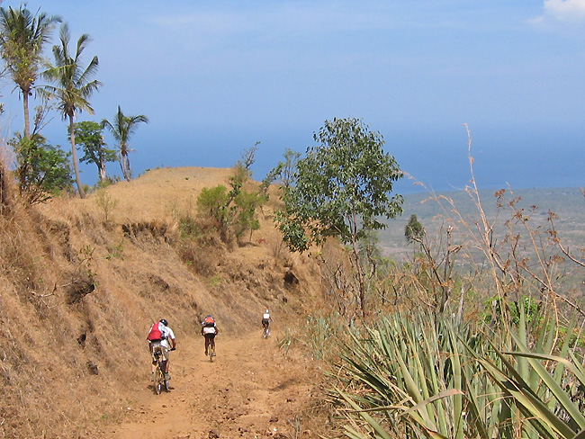 vtt Bali