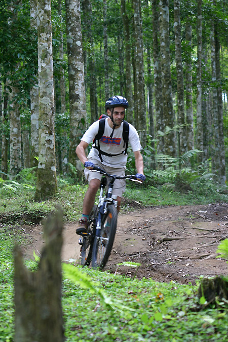 vtt Bali