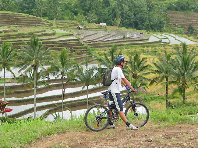 vtt Bali